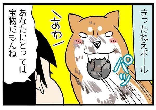 一心不乱に穴を掘り始めた柴犬 中から出てきたものが ある意味お宝 21年9月23日 エキサイトニュース