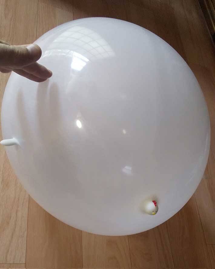 ダイソーで購入した風船を膨らませたら なんか違う 笑いが止まらない の声 21年9月25日 エキサイトニュース