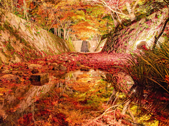 こんな秋は見たことない　京都が生み出した紅葉の川に「絶景」の声多数