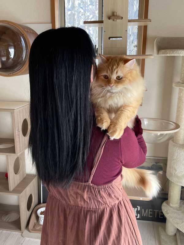 猫の態度の違いに この差よ 妻に抱っこされる猫の 変化 に腹筋崩壊 2021年10月26日 エキサイトニュース