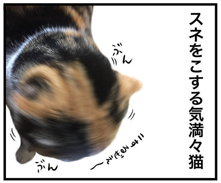 足元にすり寄ってくる愛猫　それを見た飼い主は…