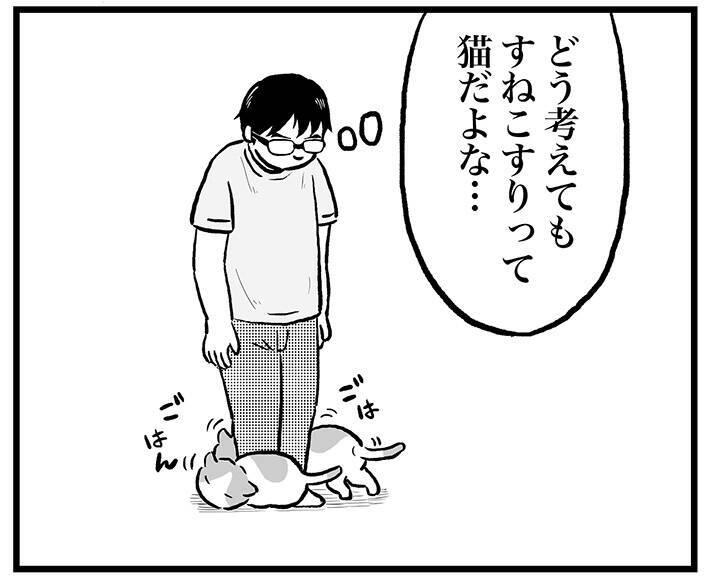 足元にすり寄ってくる愛猫　それを見た飼い主は…