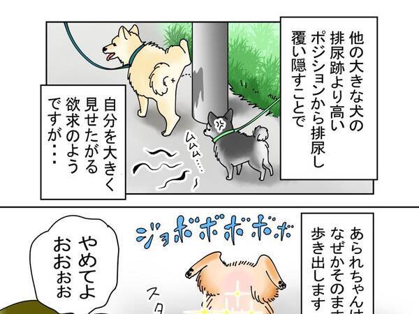逆立ちをして マーキング するポメ 必死にやめさせようとすると 21年11月1日 エキサイトニュース 逆立ちをして マーキング するポメ 必死にやめさせようとすると 21年11月1日 エキサイトニュース
