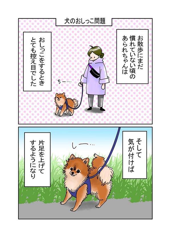 逆立ちをして マーキング するポメ 必死にやめさせようとすると 21年11月1日 エキサイトニュース 逆立ちをして マーキング するポメ 必死にやめさせようとすると 21年11月1日 エキサイトニュース