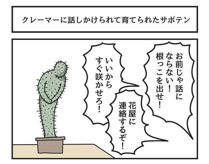 さすが 寛容 植物 クレーマーに育てられたサボテンが 21年12月25日 エキサイトニュース