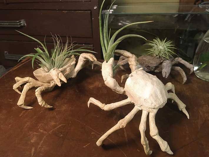 植物の置き場所に困っていたら…　家主の『解決策』が、シュールすぎた