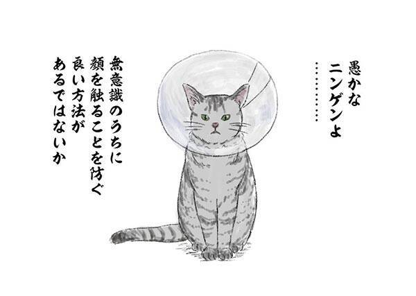 人類へ 猫様からメッセージ まさかの感染対策に１２万人が吹き出す 年4月17日 エキサイトニュース
