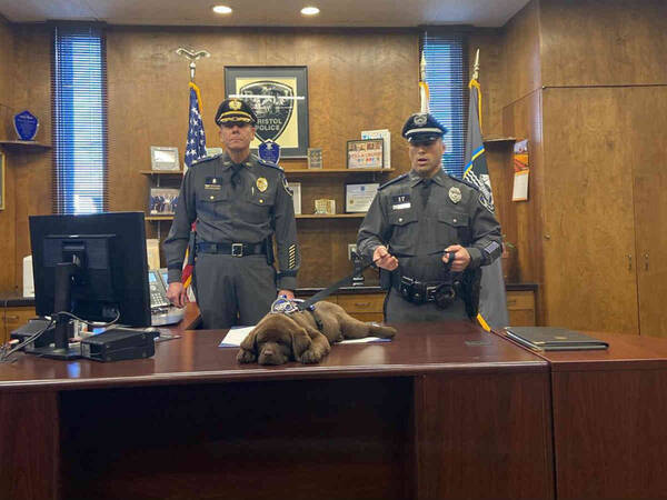 あまりのかわいさに動画シェア１千回超え 警察犬が自分の宣誓式で爆睡 年5月1日 エキサイトニュース