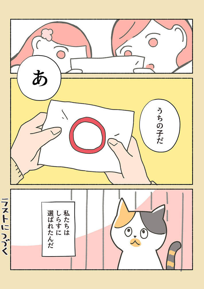 初めはペットショップに猫を探しに行った女性 しかし 虐待を受けていた保護猫に出会い 年6月6日 エキサイトニュース