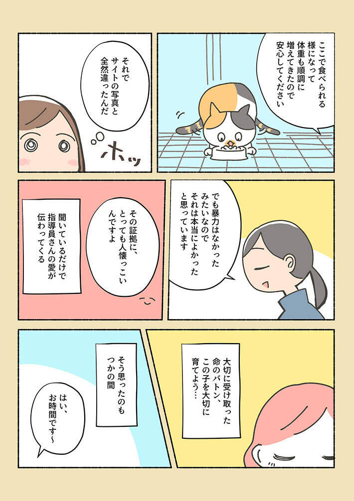 初めはペットショップに猫を探しに行った女性 しかし 虐待を受けていた保護猫に出会い 年6月6日 エキサイトニュース