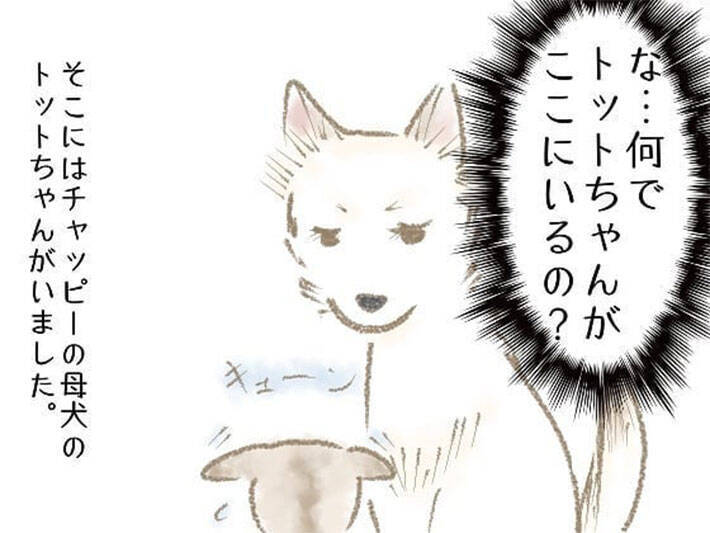 子犬をもらった家族 ある日 鳴き声に気付き庭をのぞくと 不思議 犬ってすごい 年6月17日 エキサイトニュース