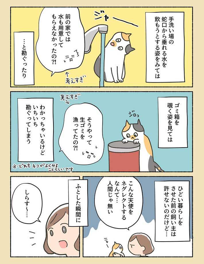 虐待を受けた過去を持つ保護猫 飼い主の想いに 分かる 胸が締め付けられた 年6月25日 エキサイトニュース