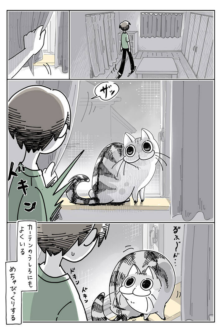 共感した あるある 猫を飼う男性がビックリする出来事とは 年8月7日 エキサイトニュース