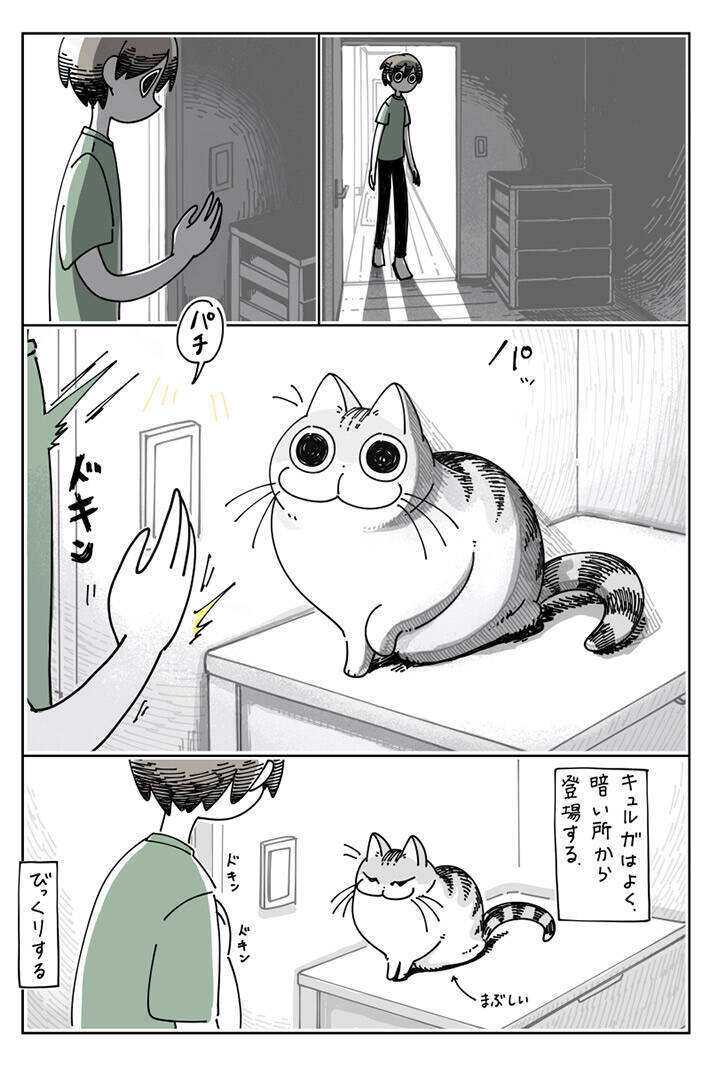 共感した あるある 猫を飼う男性がビックリする出来事とは 年8月7日 エキサイトニュース