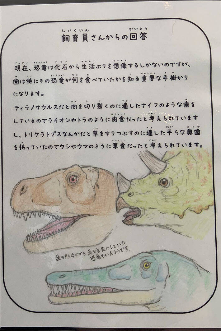 園では飼育していない恐竜について質問された飼育員 その回答とは 年8月22日 エキサイトニュース