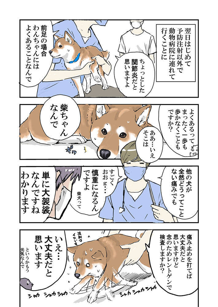 突然動けなくなった愛犬 心配して病院に連れて行くと 笑った なんということ 年9月14日 エキサイトニュース