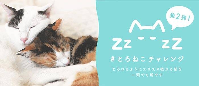 コンプリート かわいい 眠り 猫 イラスト 簡単 100 ベストミキシング写真 イラストレーション