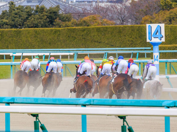 １着になった競走馬の 珍名 にネット上がざわつく事態に そのワケとは 年11月9日 エキサイトニュース