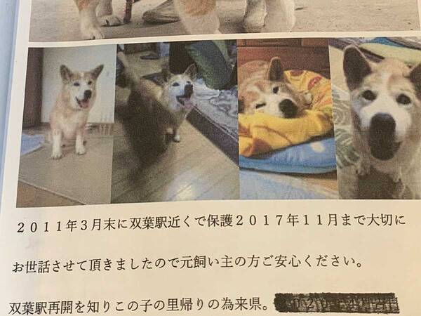 保護犬を引き取った人が 元飼い主 へあてた手紙 内容に心が震える 年12月16日 エキサイトニュース