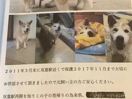 蹴り上げ虐待から保護された犬の姿に安堵の声 飼い主は今でも 早く返して 19年2月25日 エキサイトニュース