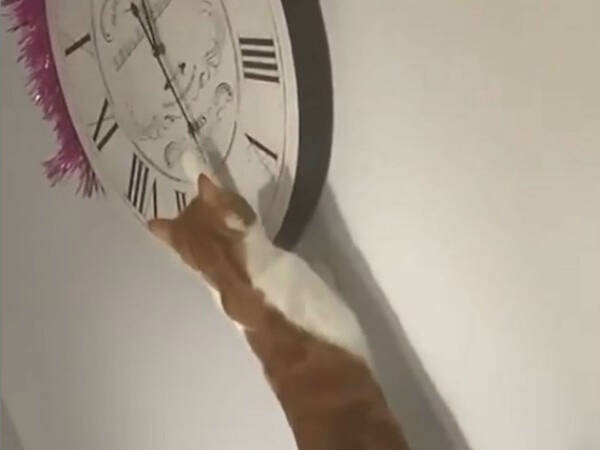 犯人はお前かーい なぜかいつも時計の時刻が狂っている原因に大笑い 年12月18日 エキサイトニュース