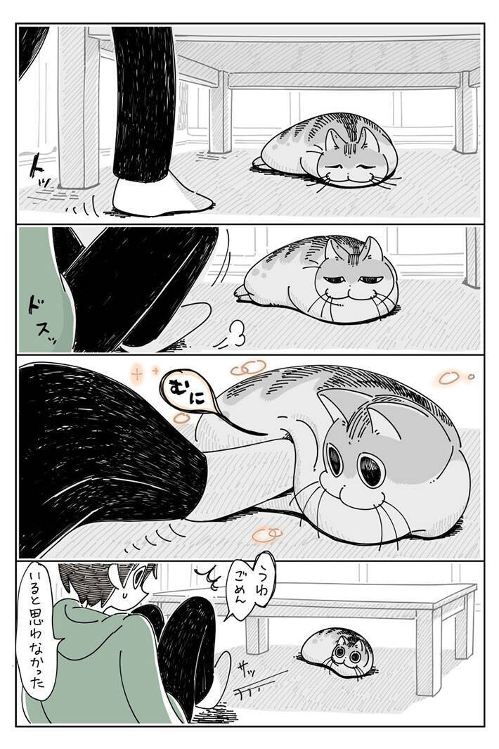 猫に気付かず 不意に触れると 漫画に よくある現象 めっちゃ分かる の声 年12月18日 エキサイトニュース