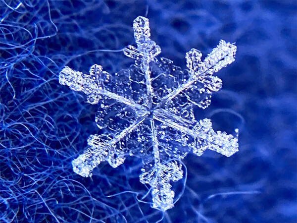 雪の結晶 をスマホで撮るには 気象学者の投稿が話題 コレはやってみたい 年12月23日 エキサイトニュース