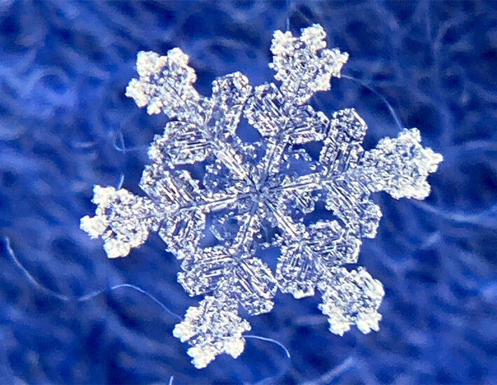 雪の結晶 をスマホで撮るには 気象学者の投稿が話題 コレはやってみたい 年12月23日 エキサイトニュース