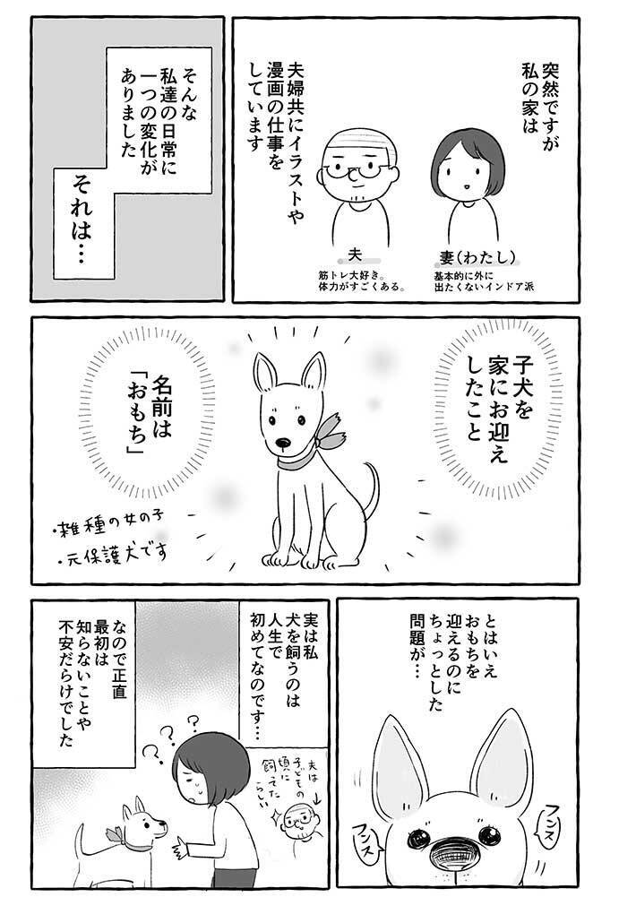 おもちゃを持ってきた子犬 夫の 気付き にハッとする 年12月25日 エキサイトニュース