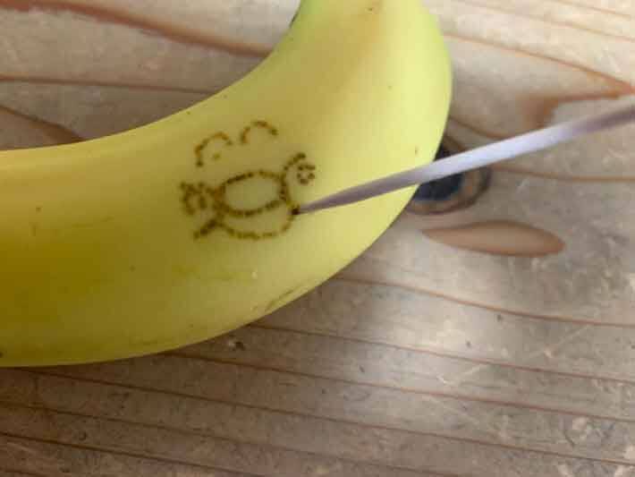 絵が苦手でも上手に描ける 子どもも喜ぶバナナアートに挑戦 21年1月31日 エキサイトニュース