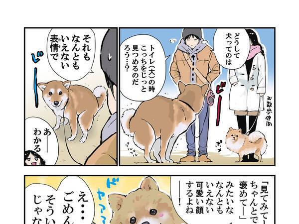 笑った そういう意味だったのか 排泄時の犬の気持ちに １９万人が吹いた 21年2月1日 エキサイトニュース