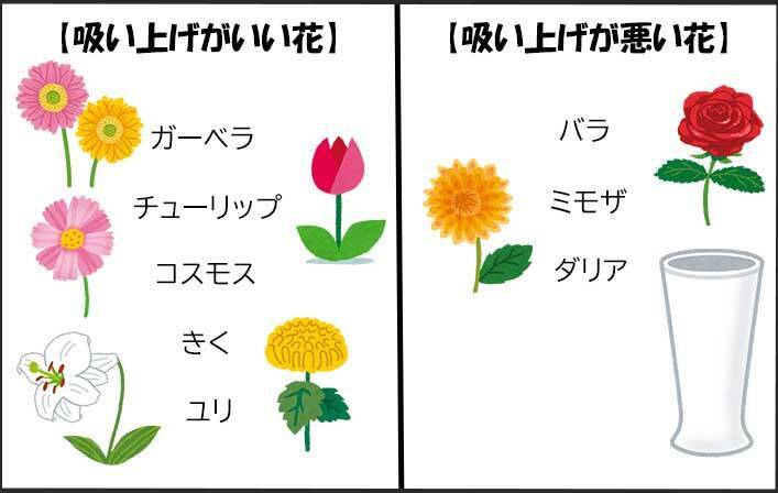 自宅で切り花を楽しむには プロから聞いた 育て方のコツ が ためになる 21年2月13日 エキサイトニュース 5 7