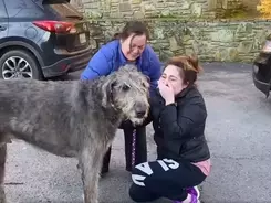 僕の親が犬をいじめています 誰か助けてください 子供が置き手紙と共に見知らぬ人に犬を託した思い メキシコ 21年2月6日 エキサイトニュース