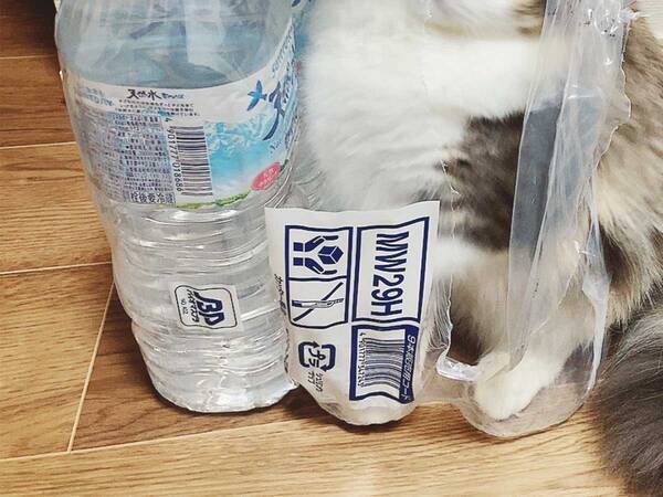 天然水になりきるのは その姿に９万人が吹き出す 21年2月12日 エキサイトニュース