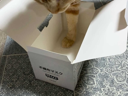 人間の脳を食べると原因不明の笑いがこみ上げる カニバリズムで起きる5つの症状とは 16年11月10日 エキサイトニュース