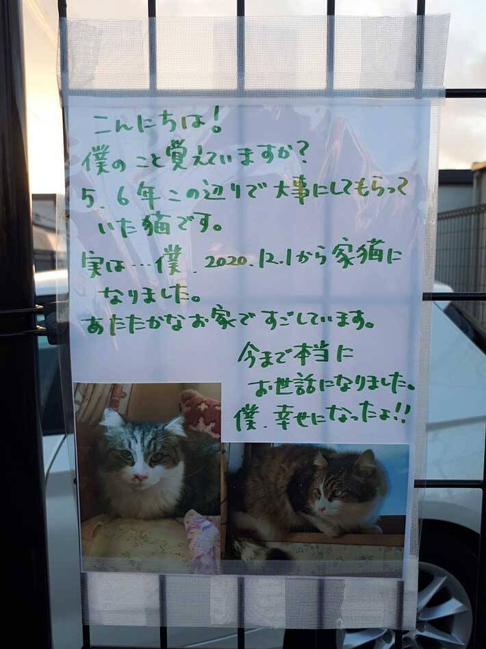 僕 しあわせになったよ 野良猫だった猫からの メッセージ に反響 21年2月18日 エキサイトニュース