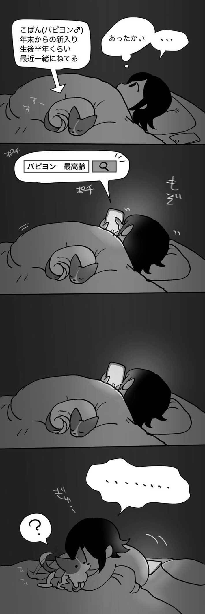 ペットの 寿命 を調べた女性 すると 最後のコマに 涙が 同じ気持ちです 21年2月24日 エキサイトニュース