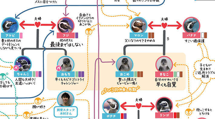 かわいい 無限に見ていられる ペンギンたちの 複雑な相関図 に注目集まる 21年2月28日 エキサイトニュース