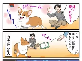 同じ家族なのに 見送りのテンションが１億倍違うコーギーに思わず吹き出す 21年5月8日 エキサイトニュース