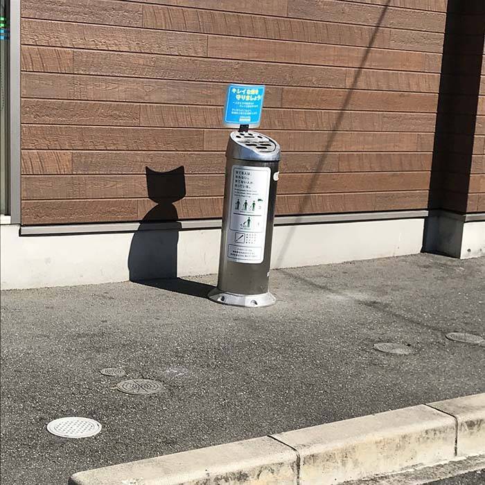 かわいい猫がいると思ったら その正体に これは間違える 笑った 2021年4月23日 エキサイトニュース
