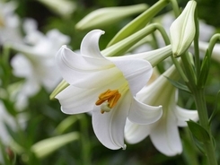 １日早く知っていれば スポンジが傷まないカレー鍋の洗い方が話題 21年4月29日 エキサイトニュース