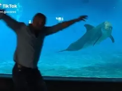 人間にも特殊能力が使えるかも コウモリやイルカの超音波能力を利用できるオーディオデバイスを開発 21年5月14日 エキサイトニュース