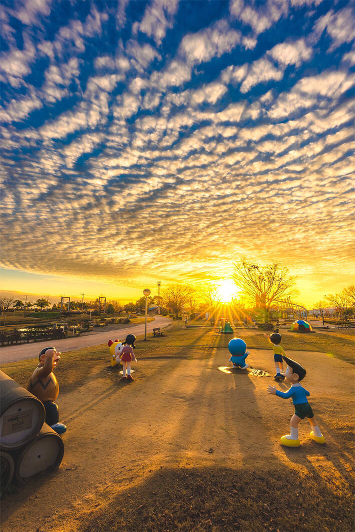 公園で撮影された１枚にウルッ 夕日に向かって立っていたのは 21年6月4日 エキサイトニュース