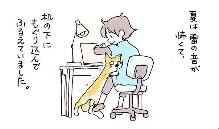 子供の頃いつも足元で音に怯えていた犬 １７歳になった現在の様子に泣ける 21年7月11日 エキサイトニュース