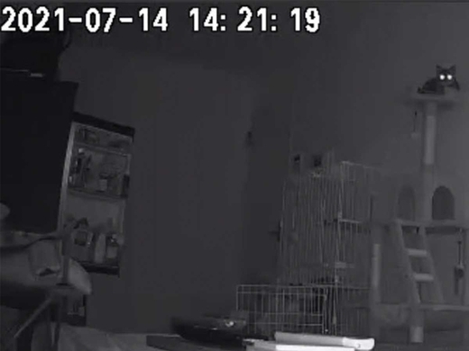 鏡で自分を見るとなぜイケメンなの に賛同多数 会社のエレベーターの鏡に映る姿が一番イケてる そのワケは 17年3月1日 エキサイトニュース