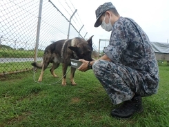 大雨による土砂災害で災害派遣をされた自衛隊　約３００人隊員と３匹の犬たちが活動終了
