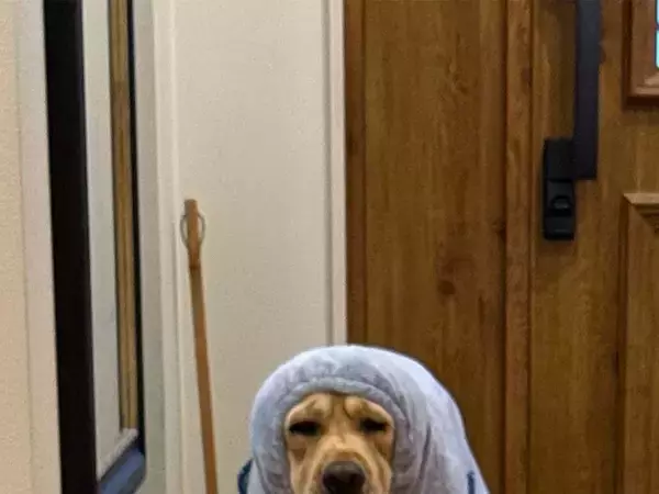 夫から送られてきた写真　写っていたのは…？「盛大に吹いた」「電車で見ちゃダメ」