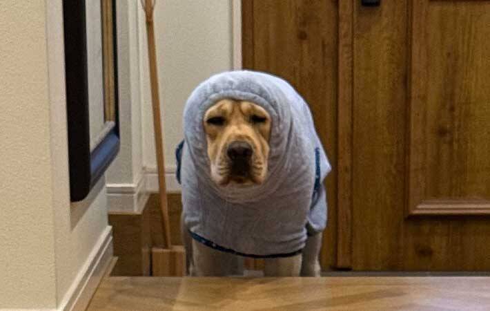 夫から送られてきた写真　写っていたのは…？「盛大に吹いた」「電車で見ちゃダメ」