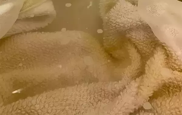 「毎日使うタオル、黒ずんできたら…　洗濯のプロ直伝『リセット洗い』とは？」の画像