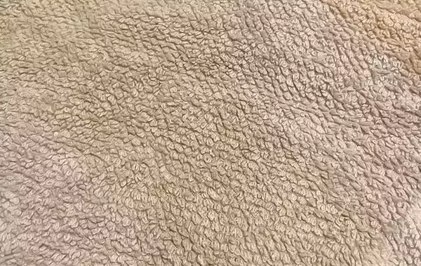 「毎日使うタオル、黒ずんできたら…　洗濯のプロ直伝『リセット洗い』とは？」の画像